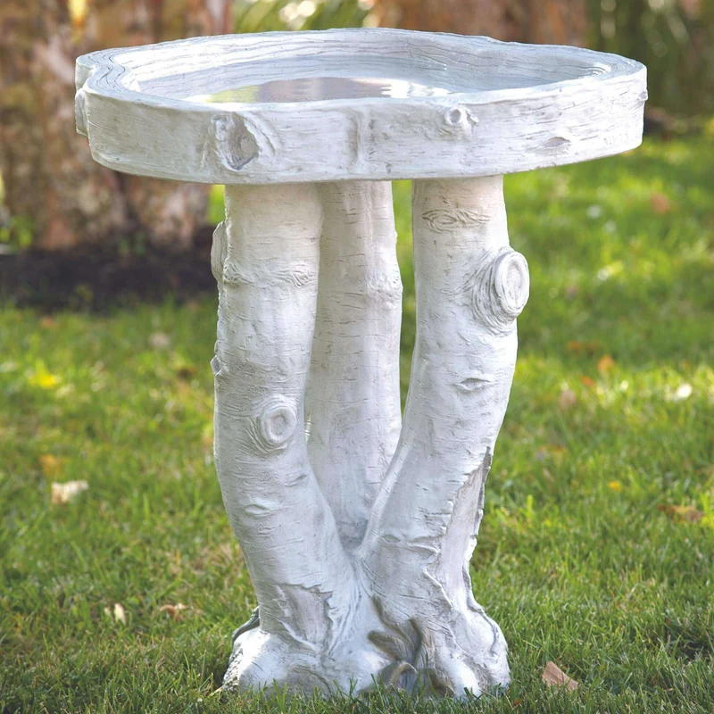 Birchwood Concrete Bird Bath - Massarellis #9266