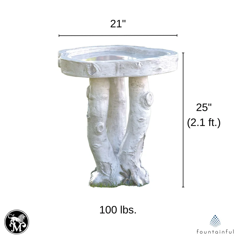 Birchwood Concrete Bird Bath - Massarellis #9266