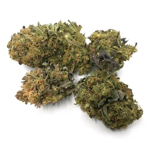 THE MONKEY - GELATO 24K - SFUSO 100GR