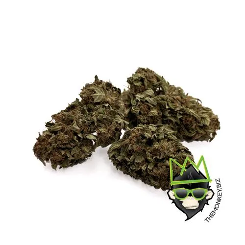 THE MONKEY - SUPER SILVER HAZE - SFUSO 100G