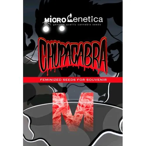 MICROGENETICA - CHUPACABRA FEM - 3 SEMI