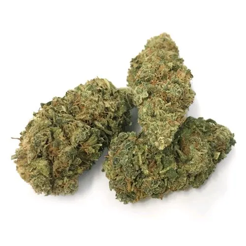THE MONKEY - MONKEY LIMONE - ESTERNO - SFUSO 100GR