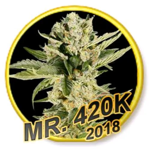 MR. HIDE ? MR. 420K FEMMINIZZATO ? 3 SEMI