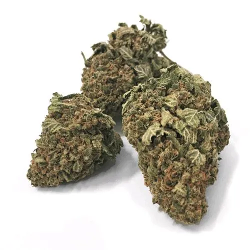 LA SCIMMIA - FRAGOLINA - SFUSO 50GR