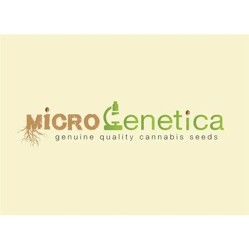 MICROGENETICA - FORMAGGIO BIANCO 10 SEMI