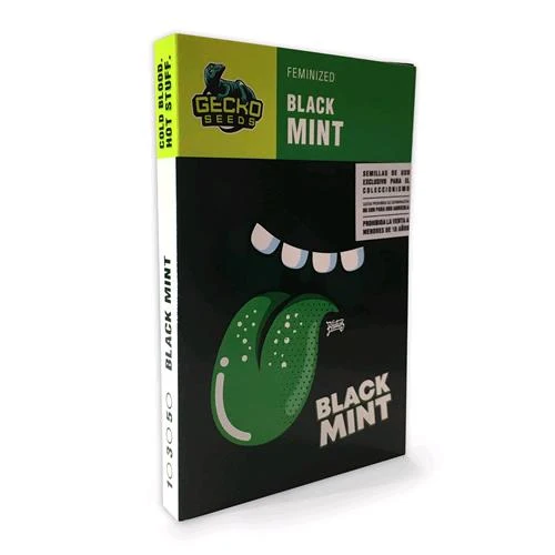SEMI DI GECKO - MENTA NERA FEM - 3 SEMI