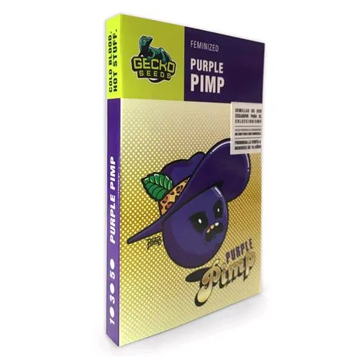 SEMI DI GECKO - VIOLA PMP FEM - 3 SEMI