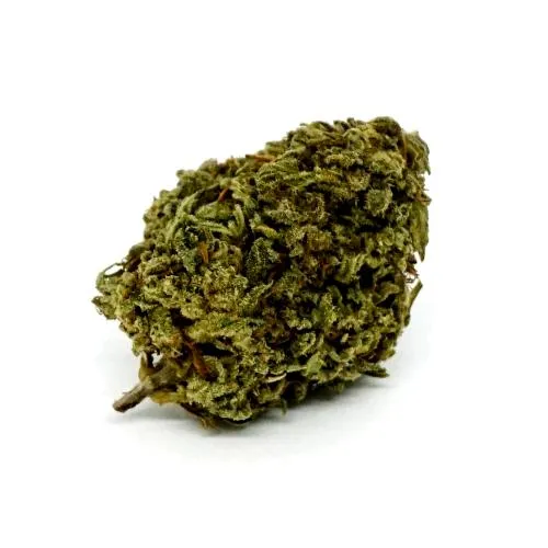 ERBA LEGALE - PAUL WALKER 1,5 GR