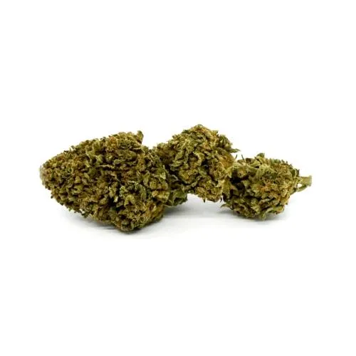 ERBA LEGALE - WHITE PRINCESS 1,5 GR
