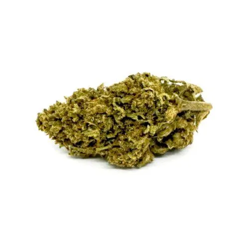 ERBA LEGALE - NY SUNSHINE 1,5 GR
