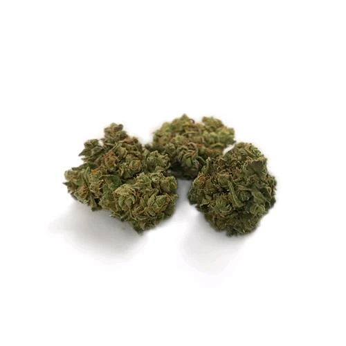 LA SCIMMIA - AMNESIA REALE 24K - 100GR