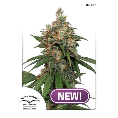 DUTCH PASSION - HIFI 4G FEM - 5 SEMI
