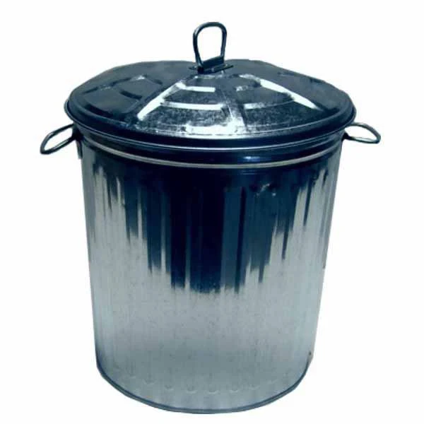 🗑️ Bidone per Immondizia in Acciaio Zincato con Coperchio 15 L