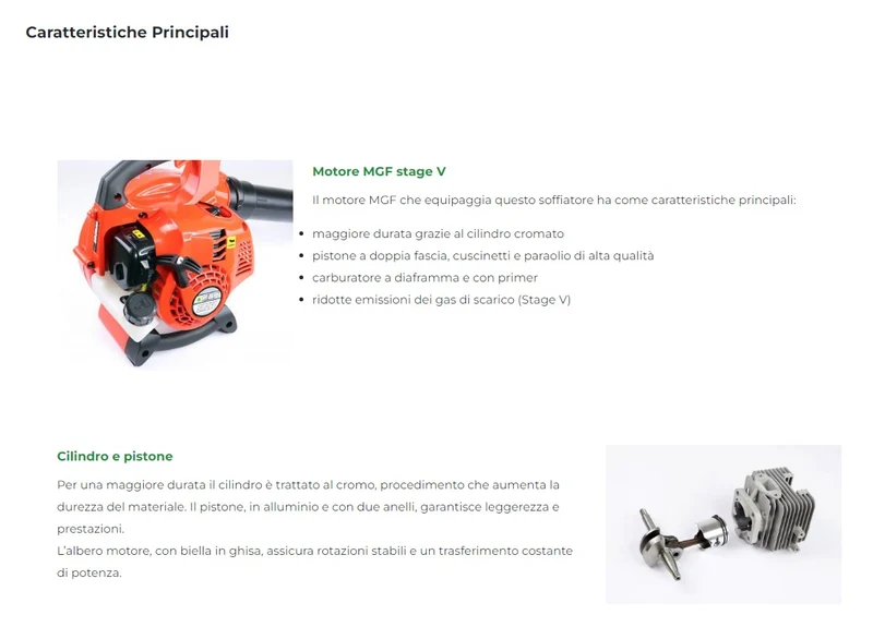 MGF SM260 - Soffiatore soffiafoglie a scoppio