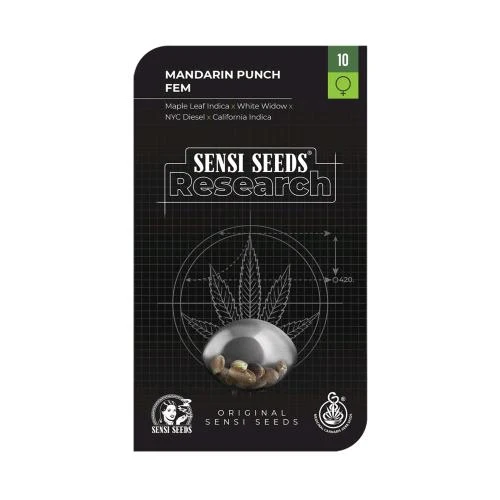 SENSI SEEDS - MANDARIN PUNCH FEMMINIZZATO - RESEARCH - 1 SEME