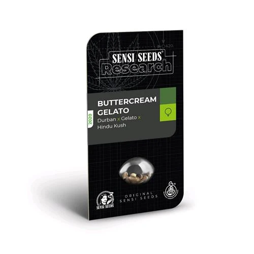 SENSI SEEDS - BUTTERCREAM GELATO FEMMINIZZATO - RESEARCH - 1 SEME