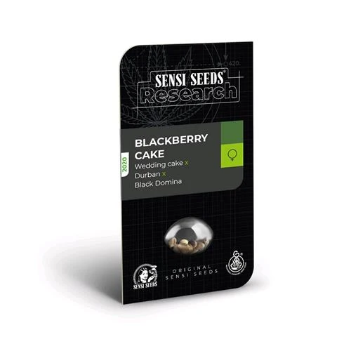 SENSI SEEDS - BLACKBERRY CAKE FEMMINIZZATO - RESEARCH - 1 SEME