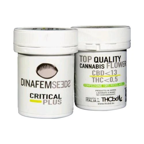 THCBD - CRITICAL PLUS - 2,5GR <0,5%