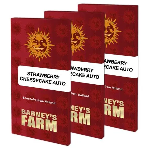 BARNEY'S FARM - CHEESECAKE ALLA FRAGOLA AUTOMATICA - 3 SEMI