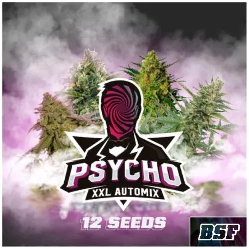 BSF - PSYCHO XXL AUTOMIX - PACK 12 SEMI