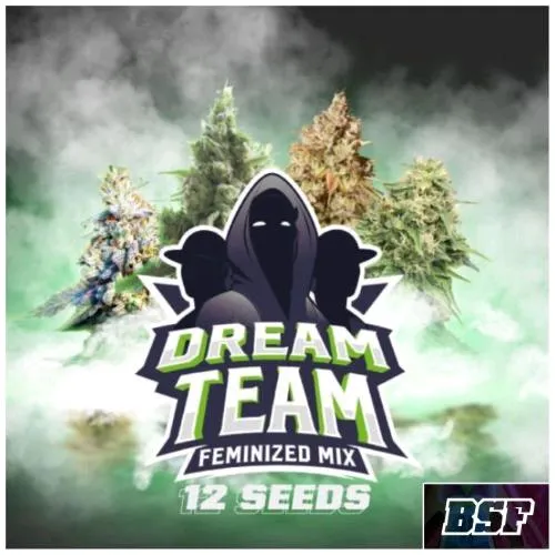 BSF - DREAM TEAM FEM MIX - PACCHETTO 12 SEMI