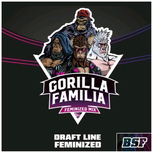 BSF - MIX GORILLA FAMILIA FEM - CONFEZIONE DA 12 SEMI