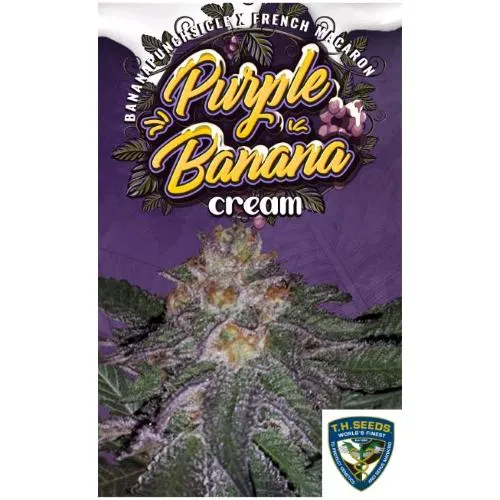 TH SEMI - PURPLE BANANA CREAM FEM - 6+1 SEMI