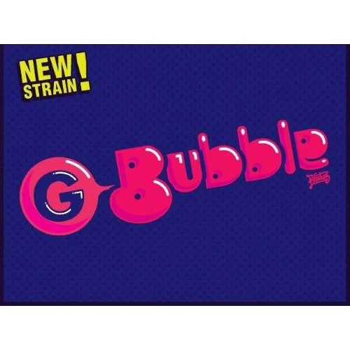SEMI DI GECKO - G BUBBLE FEM - 3 SEMI