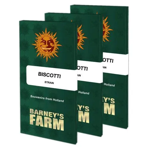 BARNEY'S FARM - BISCOTTI FEM - 5 SEMI