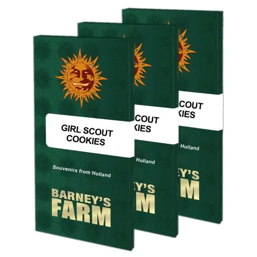 BARNEY'S FARM - GIRL SCOUT COOKIES FEM - 3 SEMI
