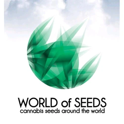IL MONDO DEI SEMI - MAZAR KUSH 3 SEMI - COLLEZIONE LEGEND