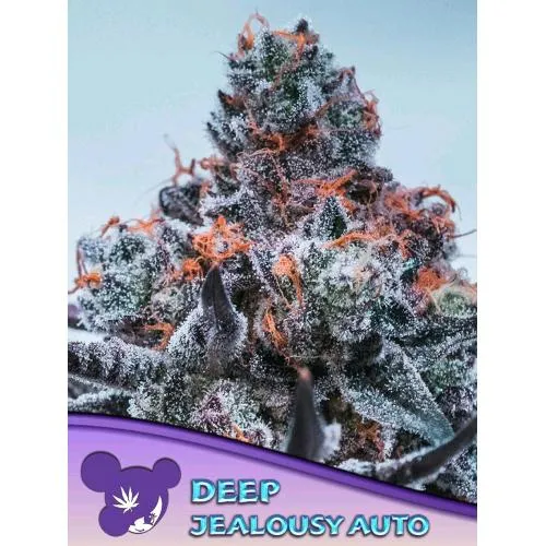 SEMI DI ANESIA - DEEP JEALOUSY AUTO - 25 SEMI
