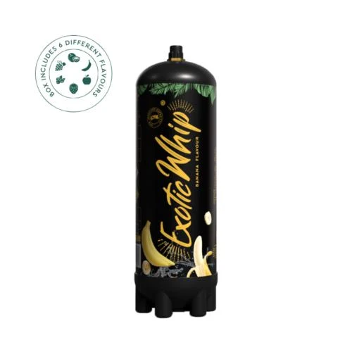 EXOTICWHIP - SCATOLA DA 6 CARTUCCE N2O 670G � USO TECNICO E ALIMENTARE � VARI GUSTI