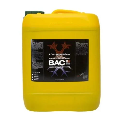 BAC - COMPONENTE TERRICCIO - 5L