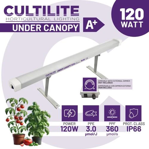 CULTILITE - SOTTO CHIODO 120W