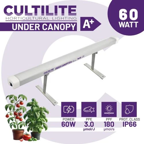 CULTILITE - SOTTO CHIODO 60W