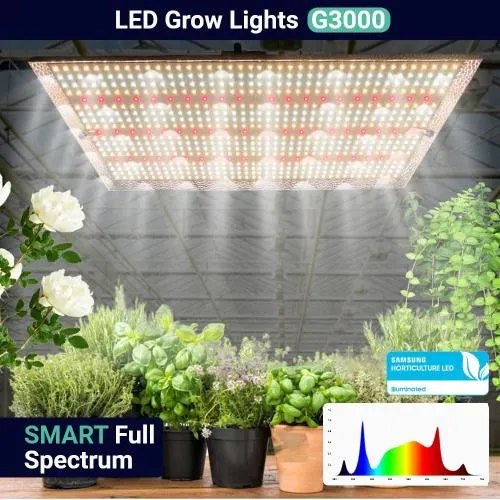 GROWEALTH G3000 - SCHEDA QUANTISTICA 300W
