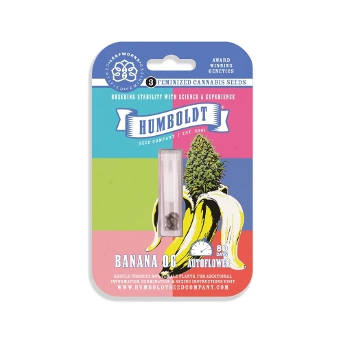 HUMBOLDT SEED COMPANY - BANANA OG AUTO - 10 SEMI