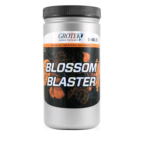 GROTEK - BLASTER FIORI - 1 KG