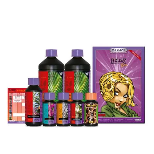 ATAMI B'CUZZ KIT SCATOLA COCO