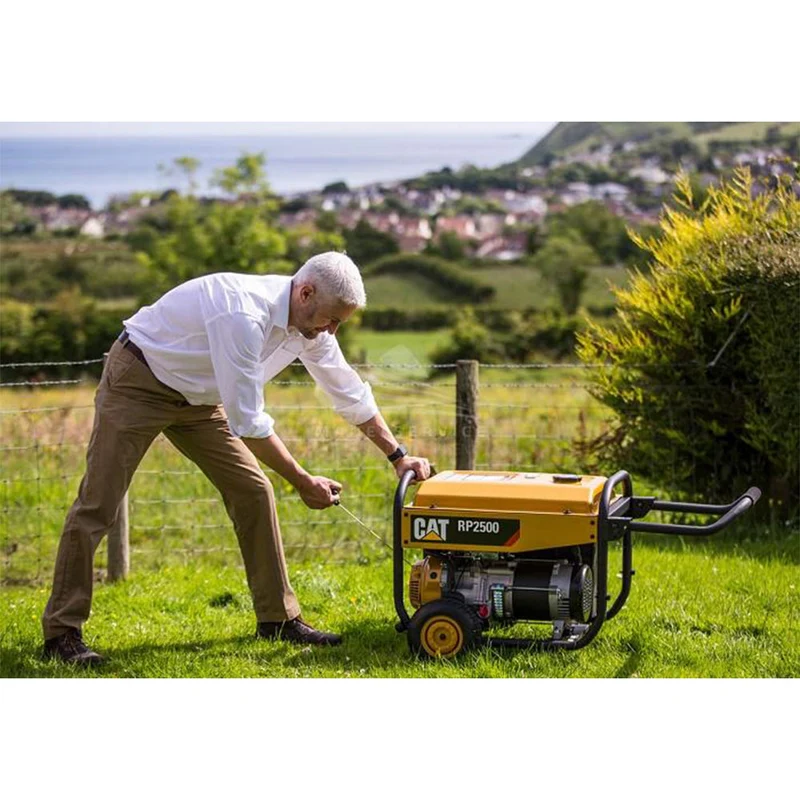 Cat RP2500 - Generatore di corrente 2,5 KW monofase a benzina carrellato