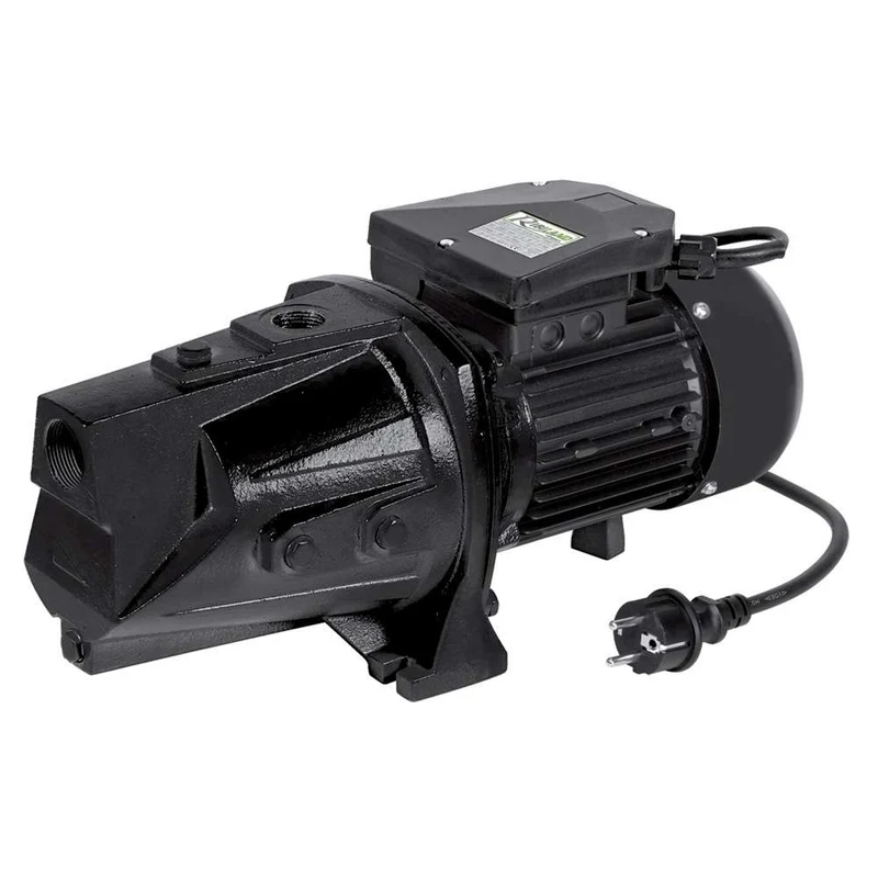 Ribimex PRJET150L - Pompa di superfice 1800W con corpo allungato
