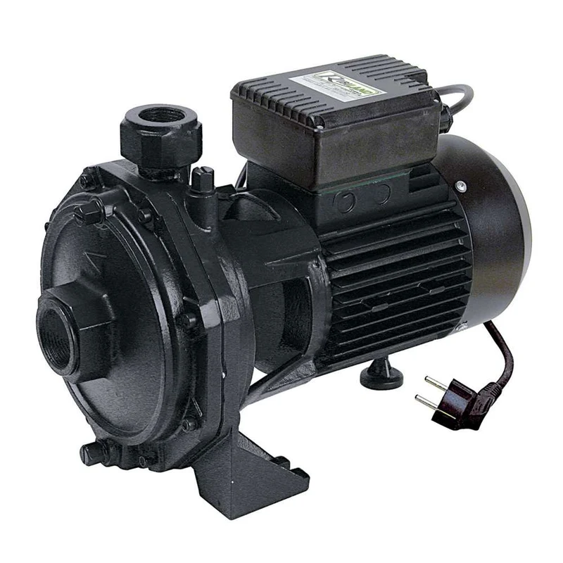 Ribimex PRRBK200 - Pompa di superficie biturbina 2000W