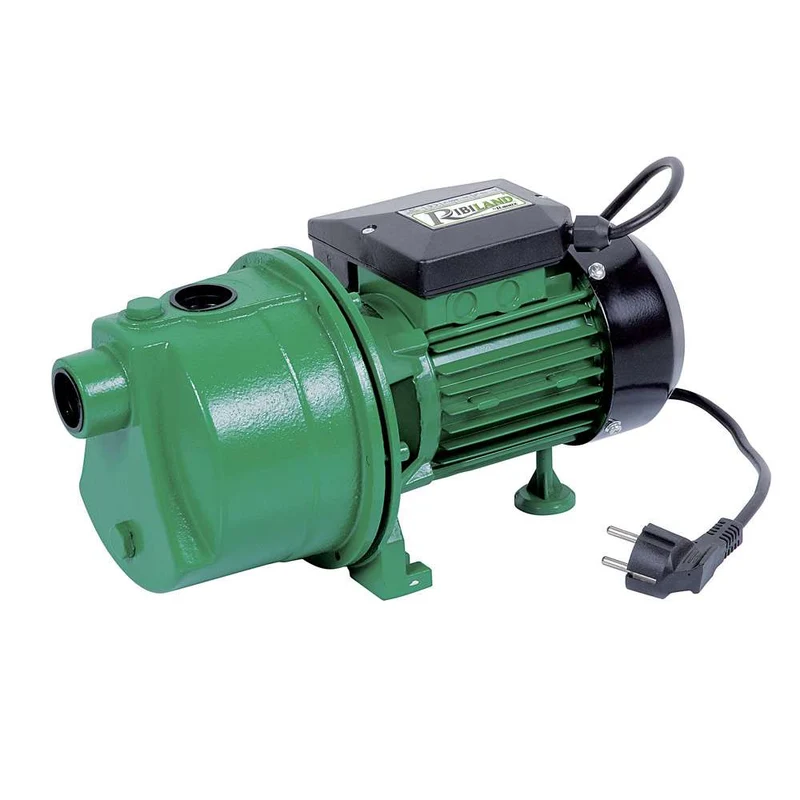 Ribimex PRJET61 - Pompa di superficie JET61 600W