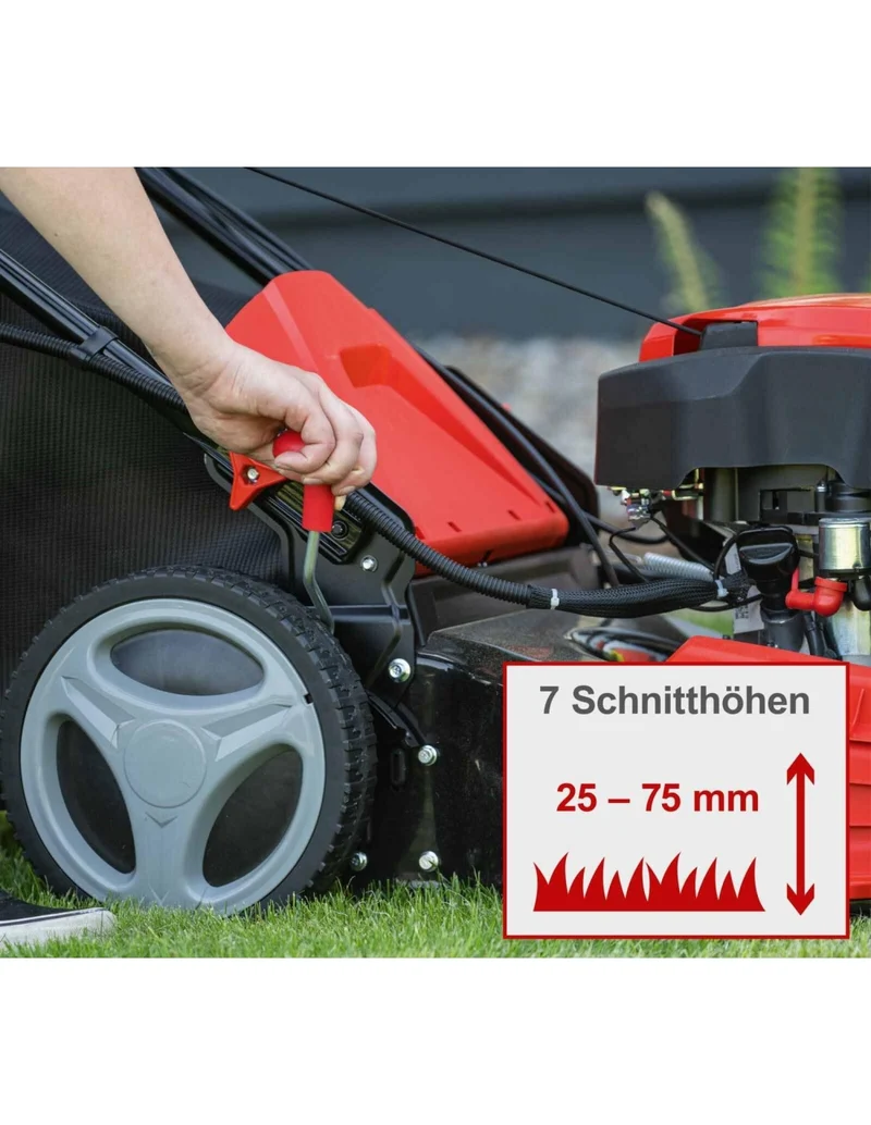 Scheppach MS225-56E - Rasaerba a scoppio semovente avviamento elettrico 225cc - taglio 56cm