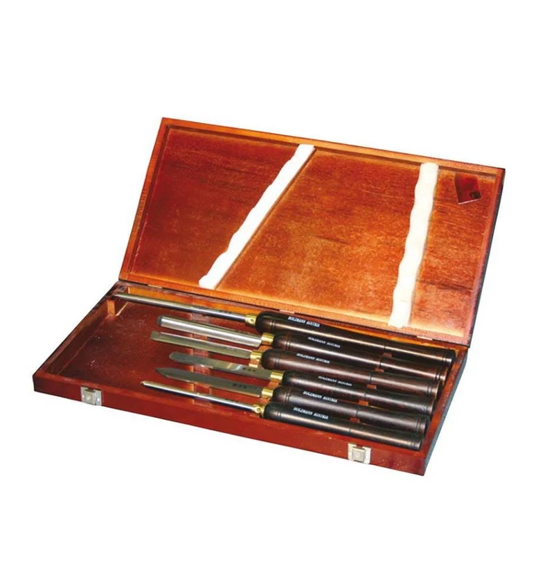 Holzmann H6TLG set di scalpelli di qualità 6 pezzi HSS