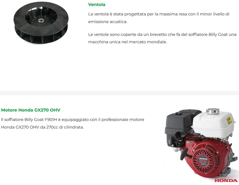 Soffiatore carrellato a spinta professionale Billy Goat F902H