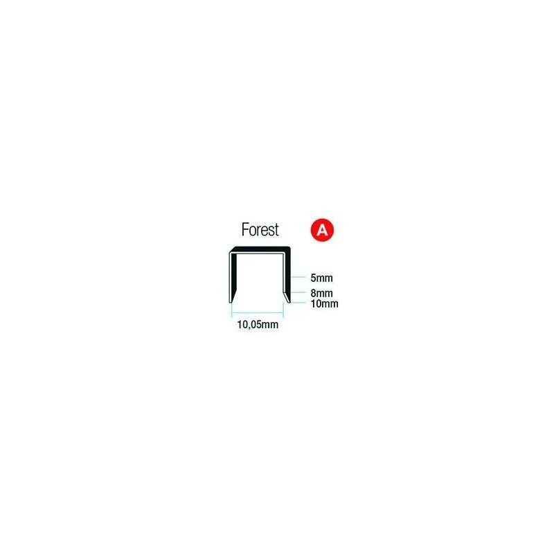 Punti metallici 110 FOREST Romeo Maestri 5000 pezzi