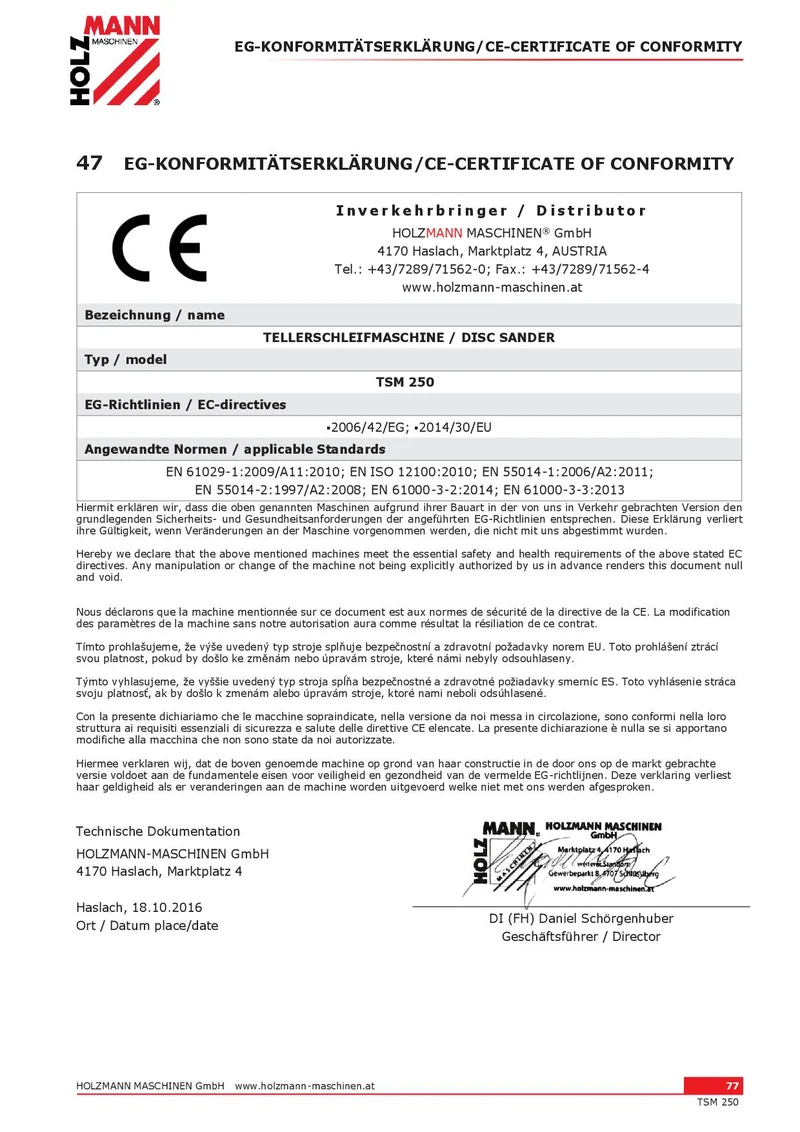 Holzmann TSM 250 - Levigatrice a disco
