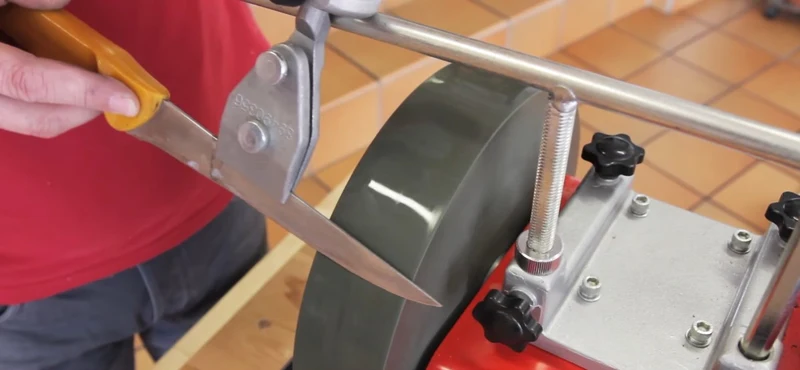 Holzmann NTS 250 PRO - Affilatrice combinata da banco